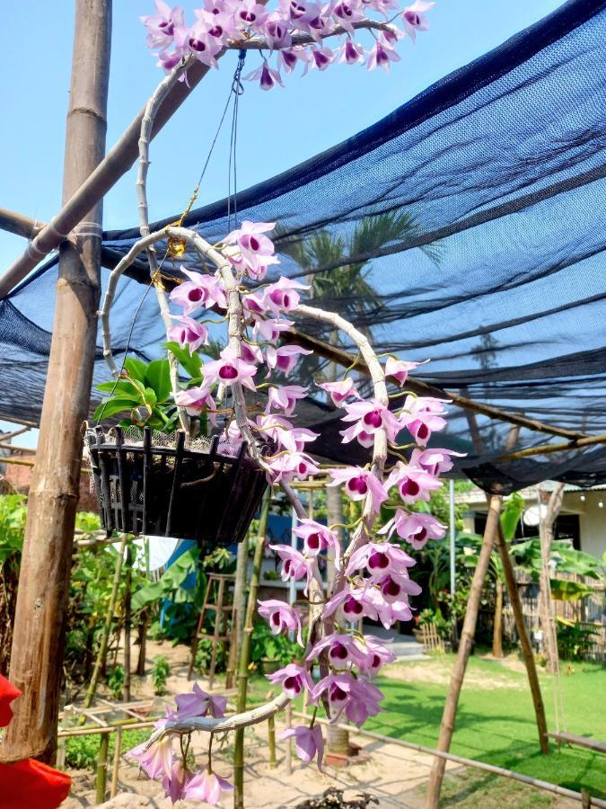 Ngoc An Bang Villa Exterior foto
